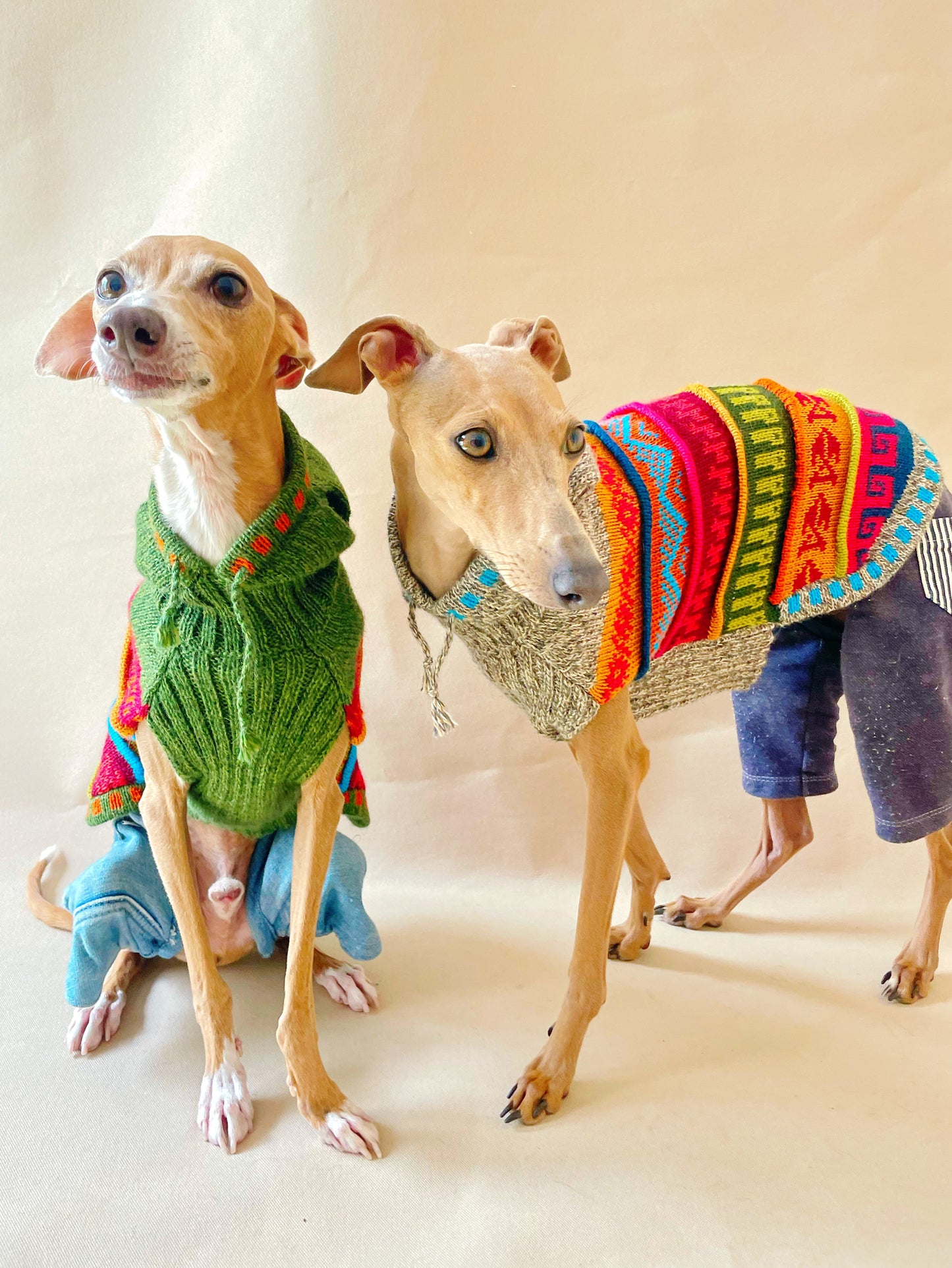 ドッグアルパカフーディ <Army Green>