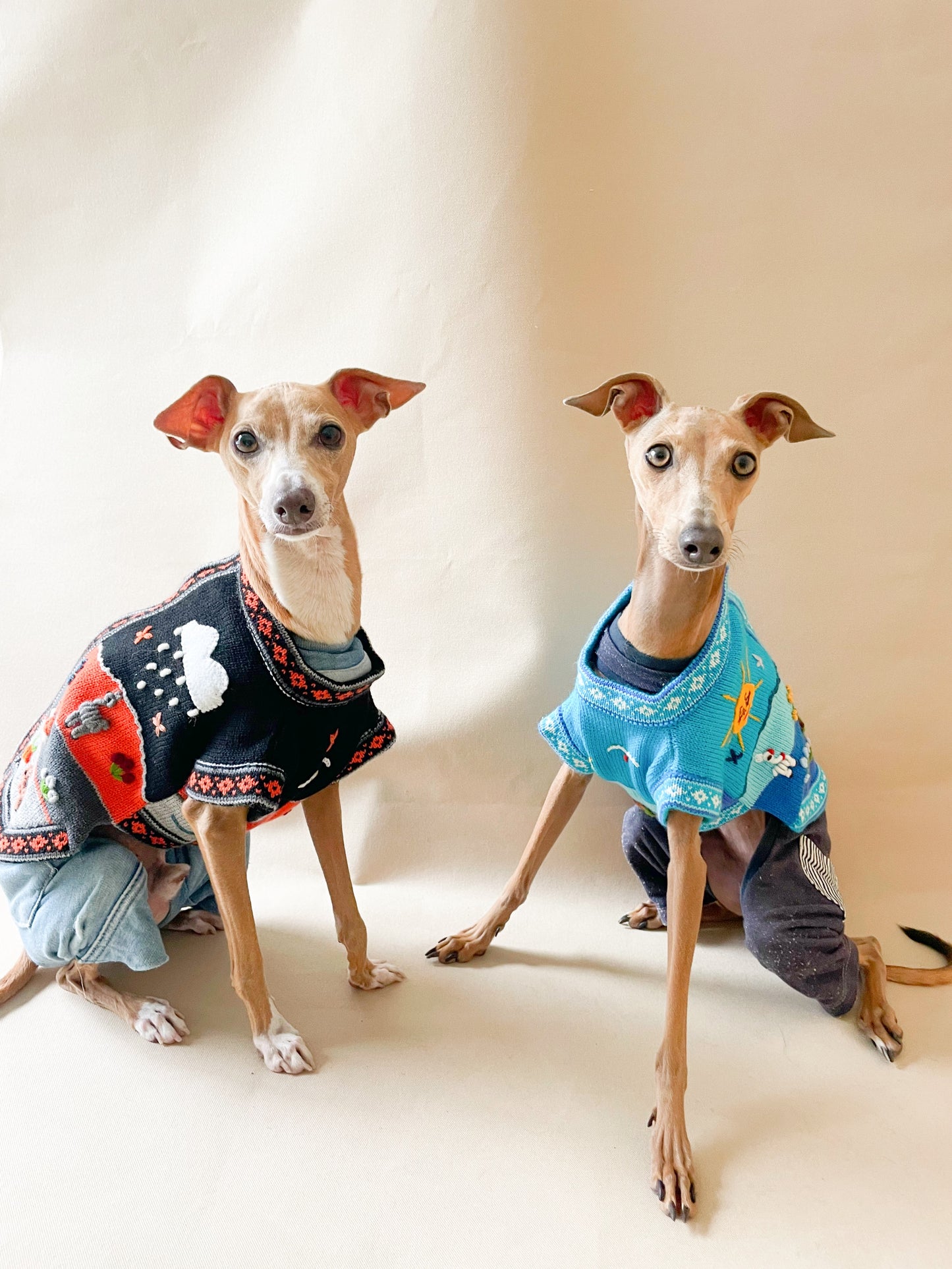 ドッグジップアップジャケット <sky blue>