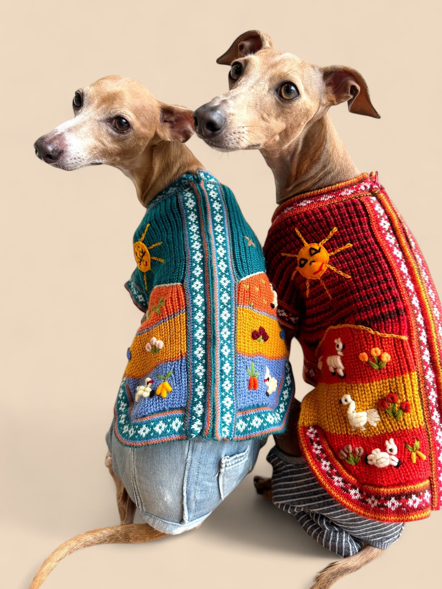 Alpaca ドッグジップアップジャケット Sunset