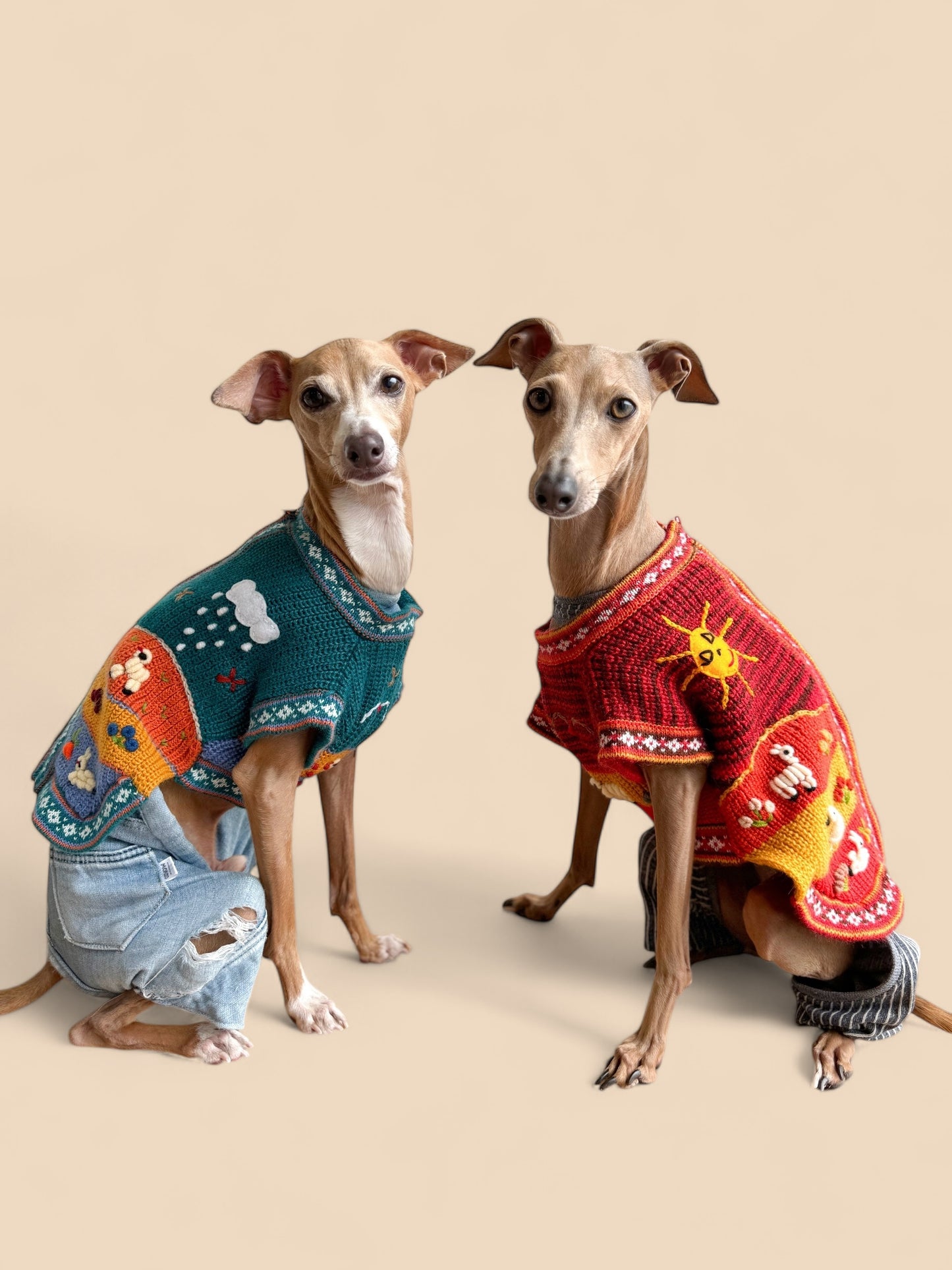 Alpaca ドッグジップアップジャケット Jade blue