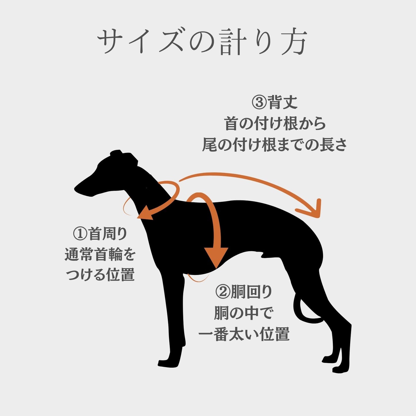 Bi Color Balloon Sleeve Knit 【Navy＊Mimosa】