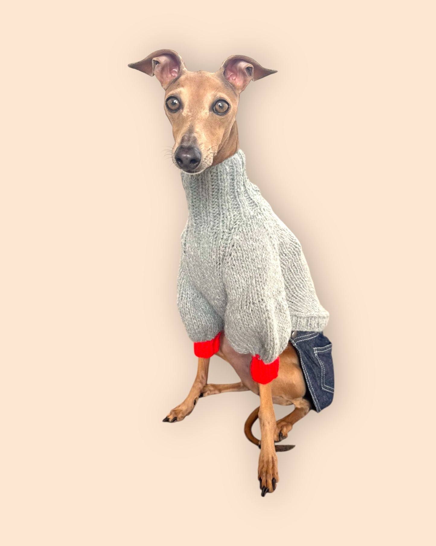 Bi Color Balloon Sleeve Knit 【Gray＊Tomato】