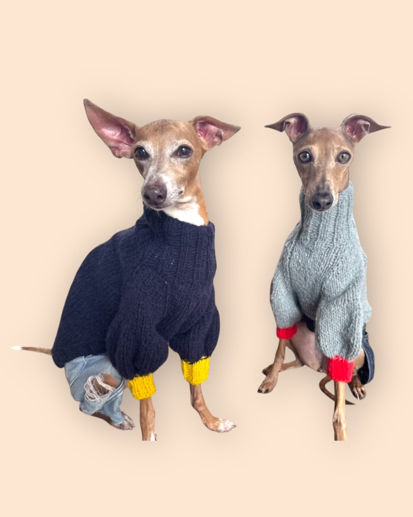 Bi Color Balloon Sleeve Knit 【Navy＊Mimosa】