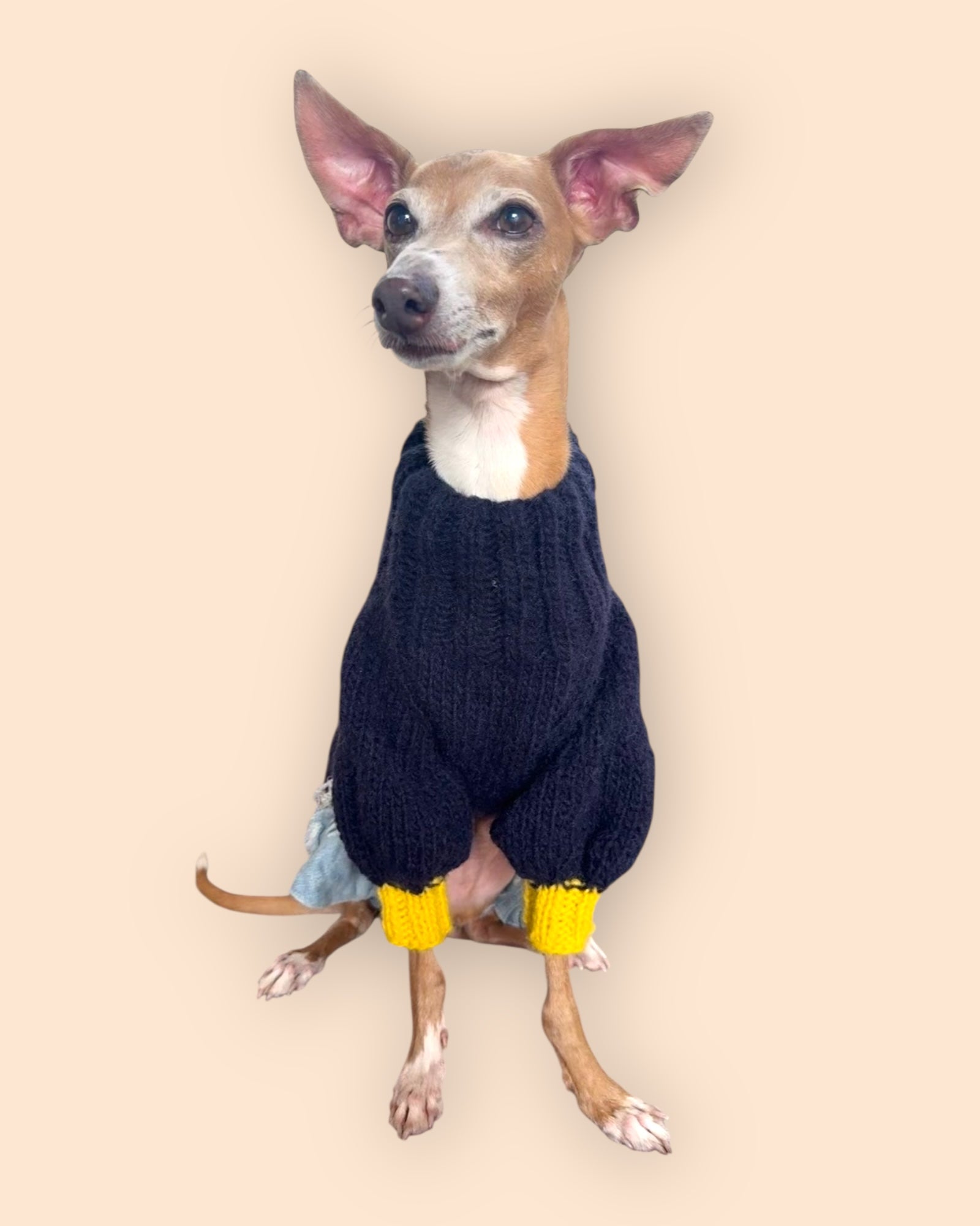 ☆ ミィモ様 ハンドメイド犬セーター☆ 6d19e0896973d7e4a4ac7c73989a6b