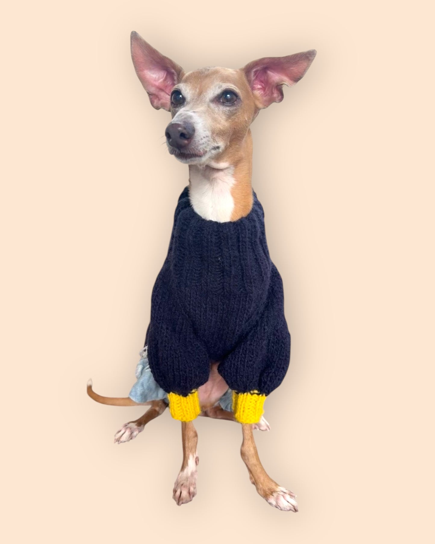 Bi Color Balloon Sleeve Knit 【Navy＊Mimosa】