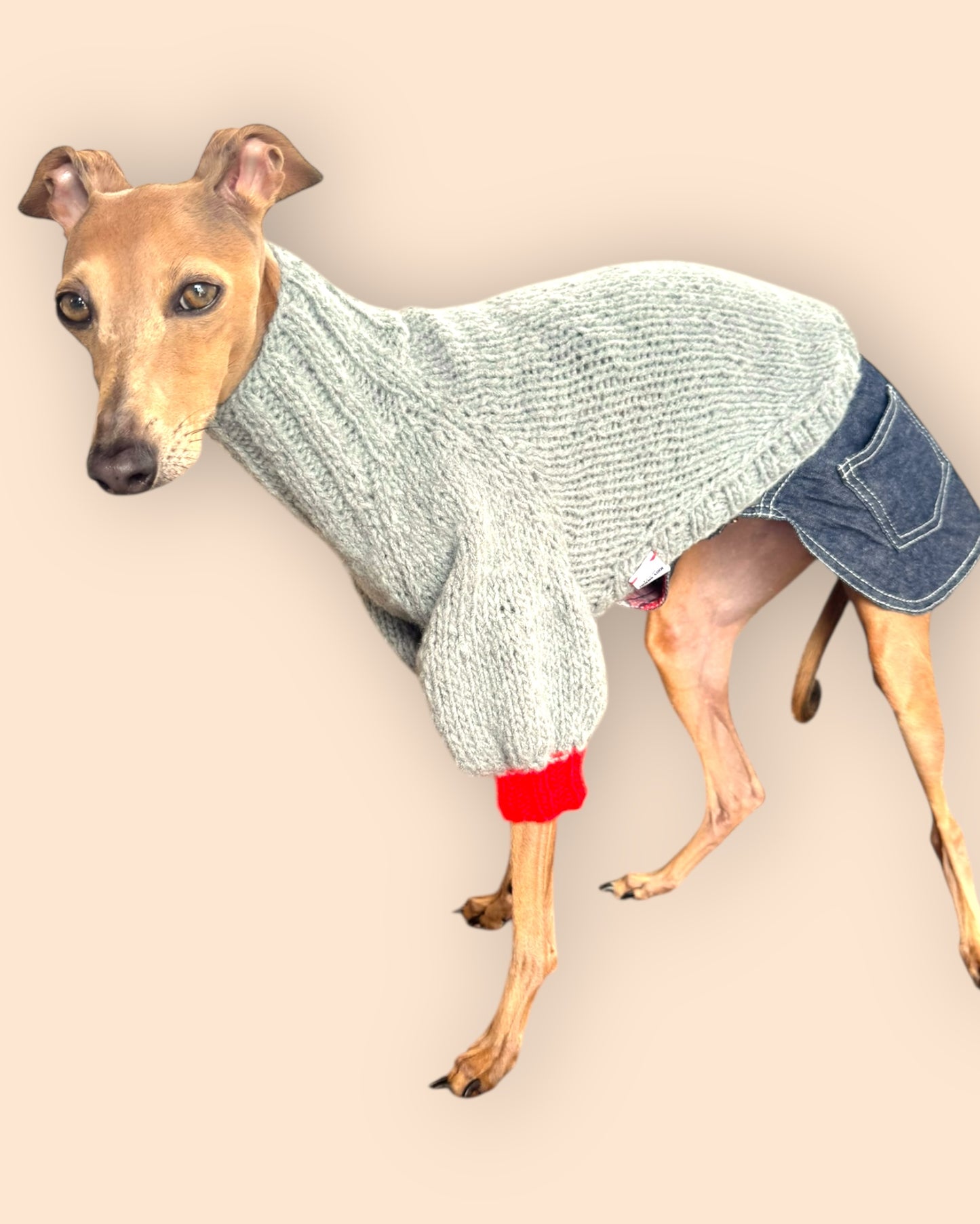 Bi Color Balloon Sleeve Knit 【Gray＊Tomato】