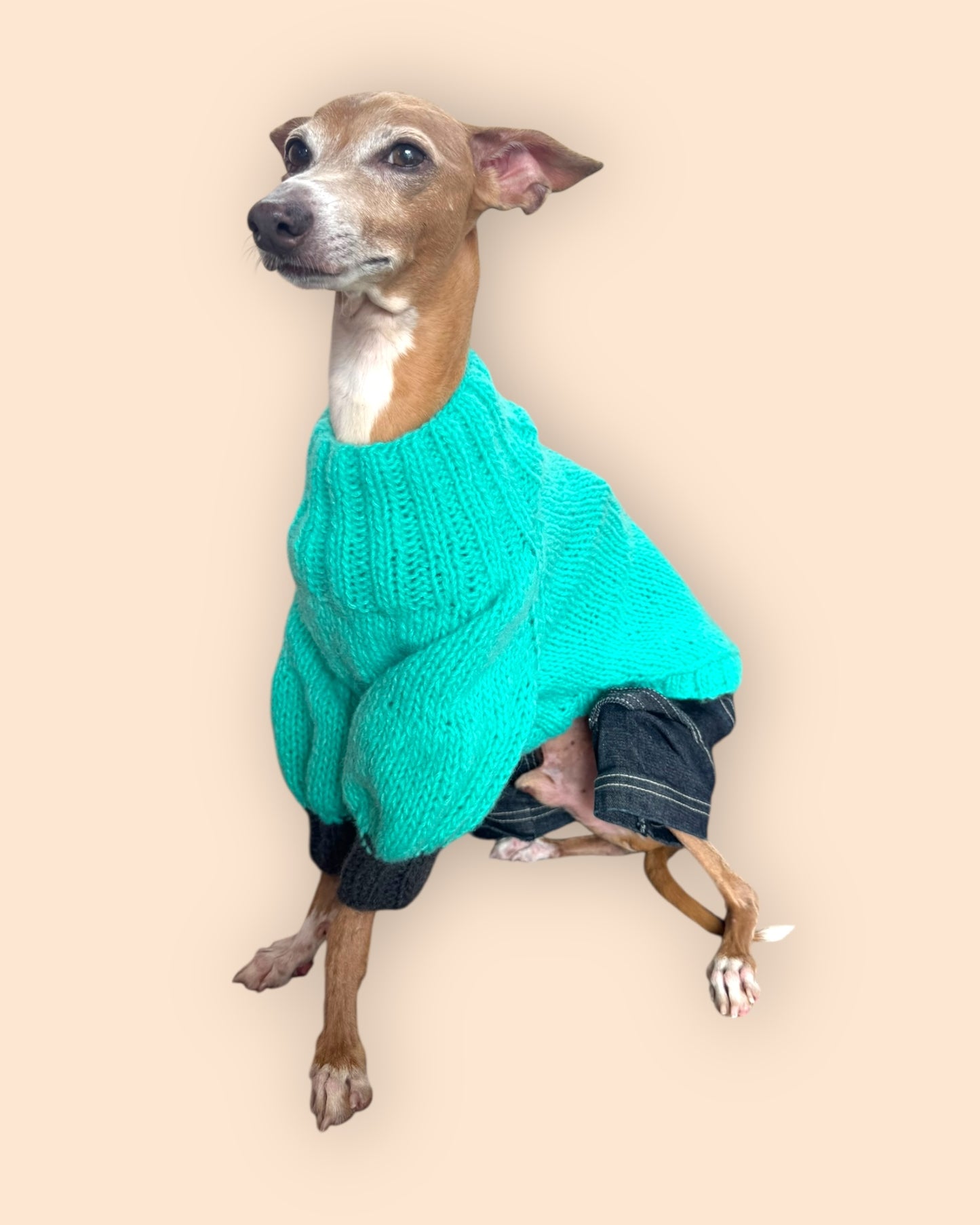 Bi Color Balloon Sleeve Knit 【turquoise＊Chacoal】