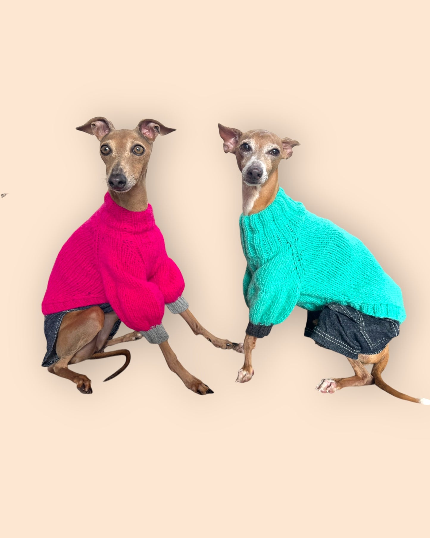 Bi Color Balloon Sleeve Knit 【turquoise＊Chacoal】