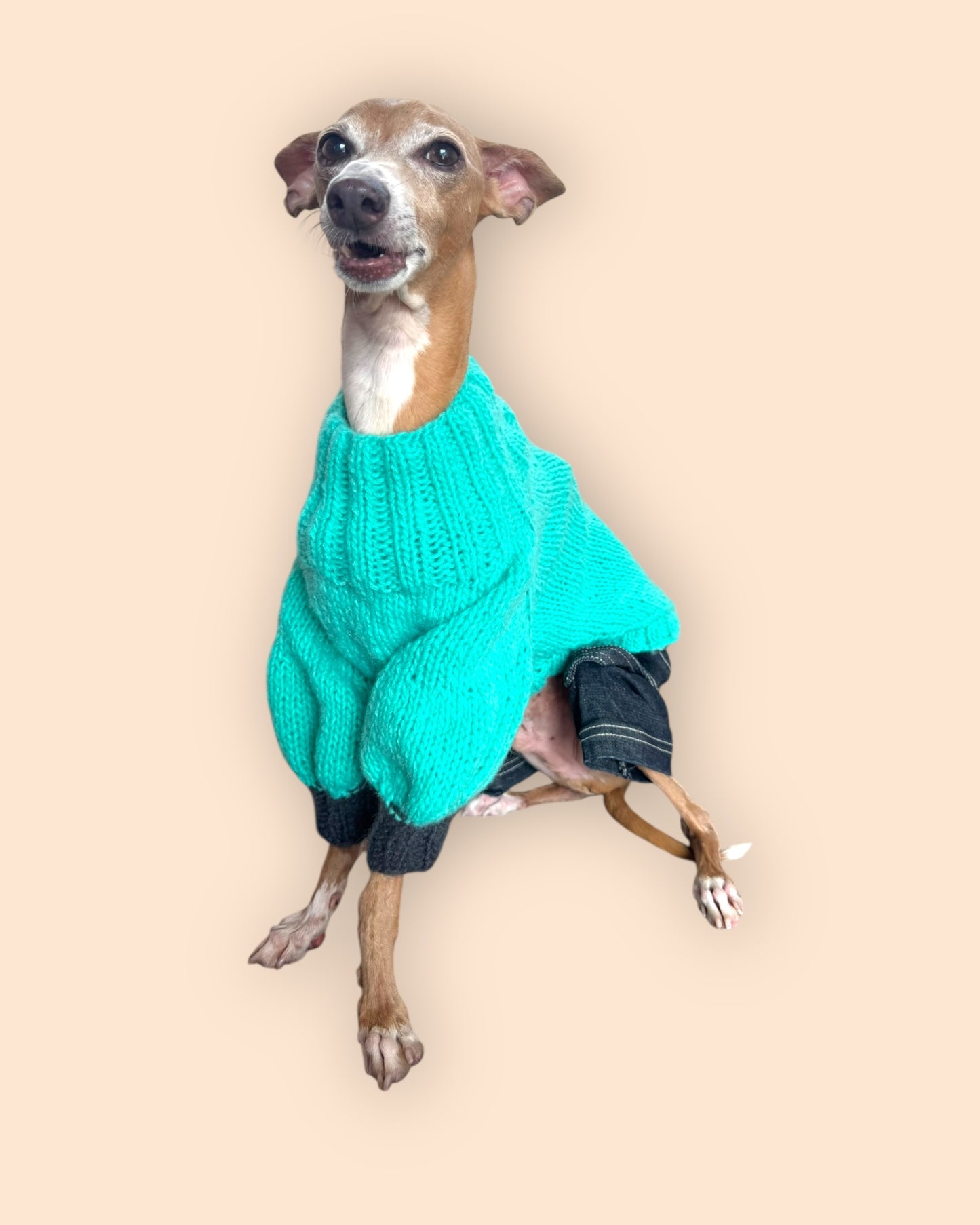 Bi Color Balloon Sleeve Knit 【turquoise＊Chacoal】