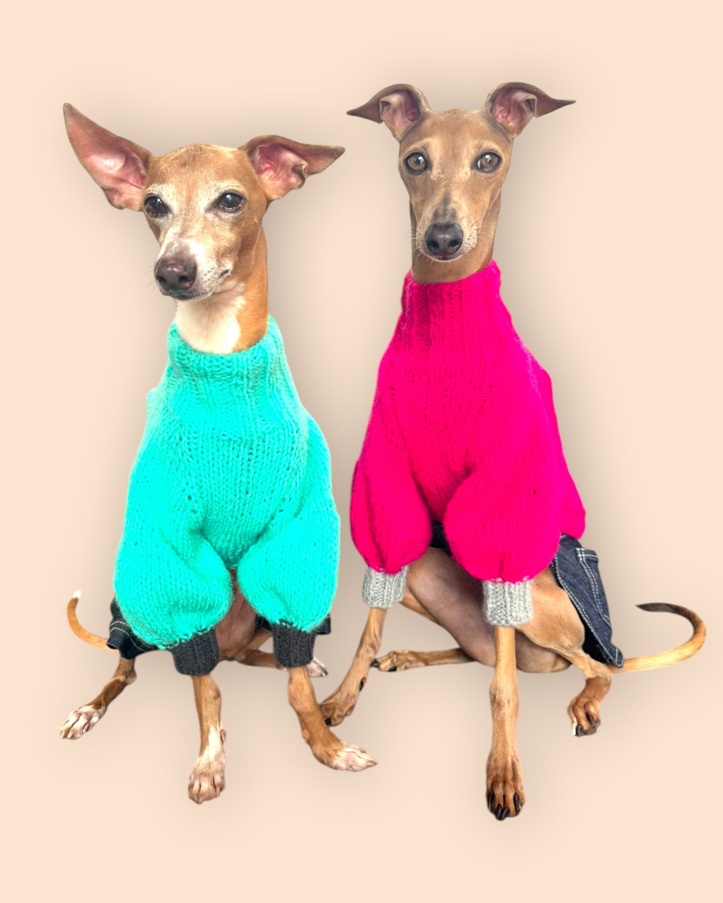 Bi Color Balloon Sleeve Knit 【turquoise＊Chacoal】