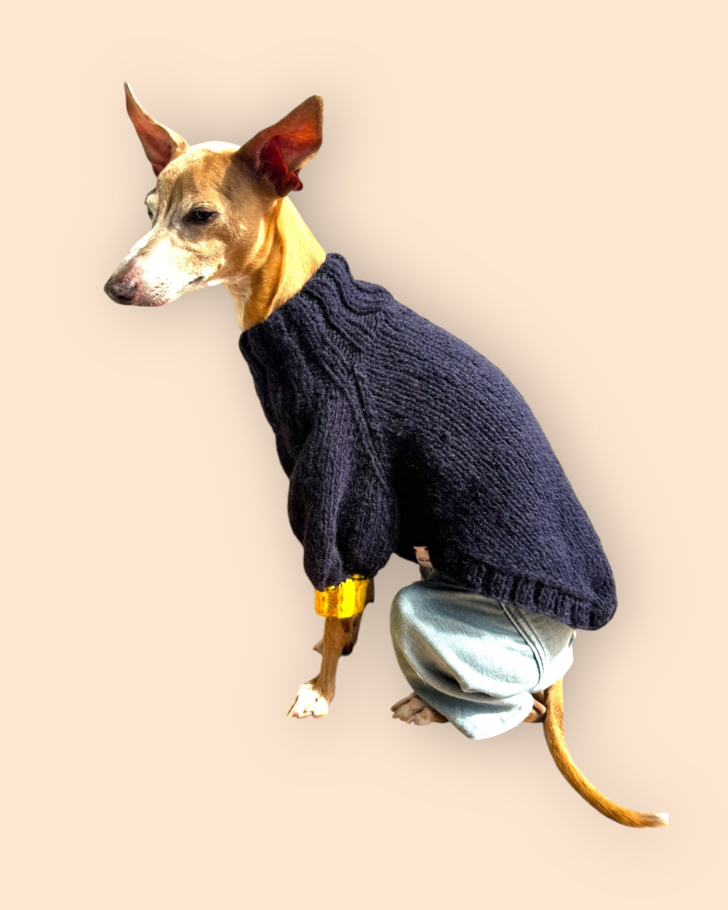 Bi Color Balloon Sleeve Knit 【Navy＊Mimosa】